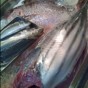 20100525172644.jpg