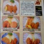 20101128100721.jpg